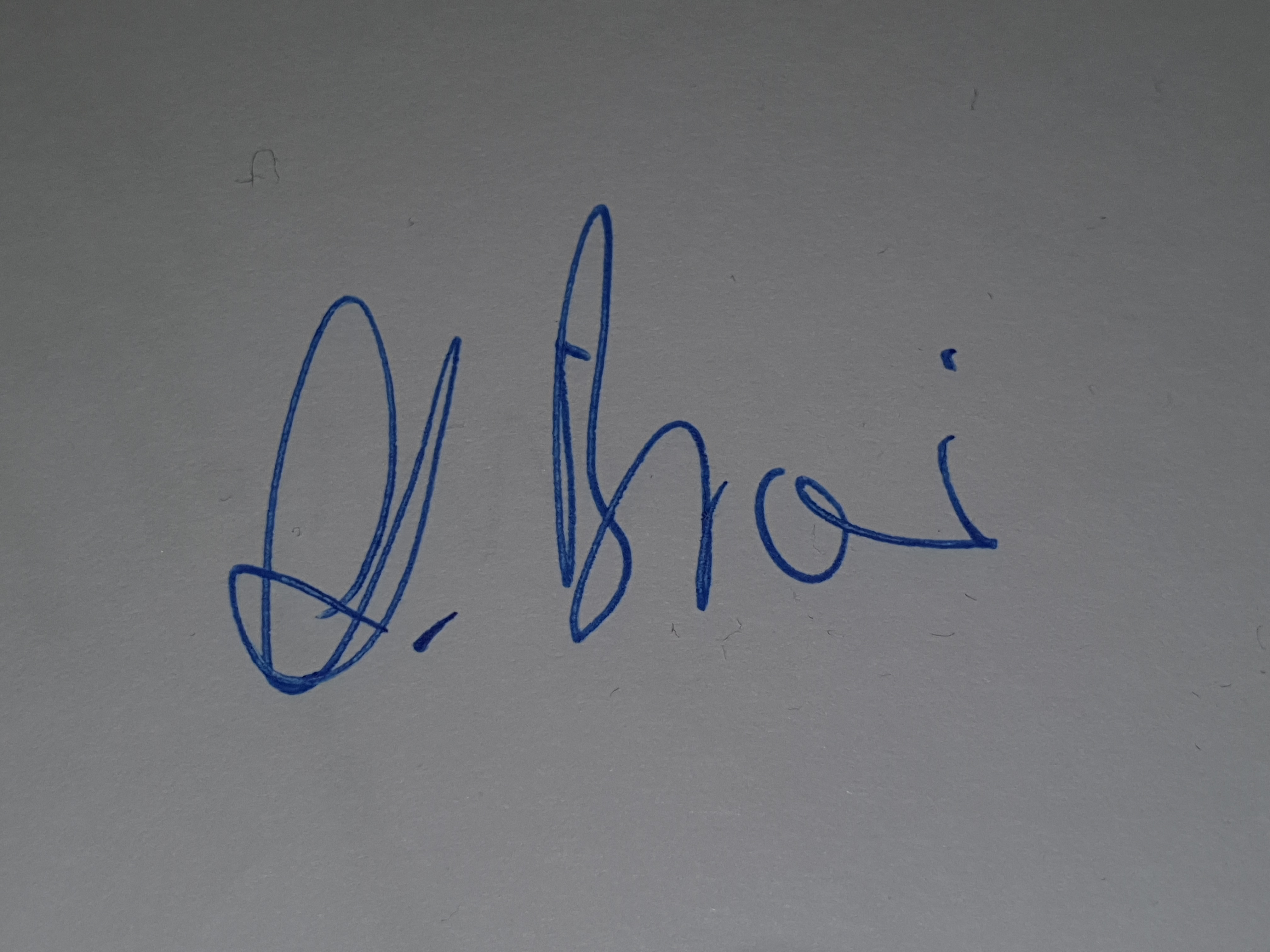 Unterschrift (eingescannt)